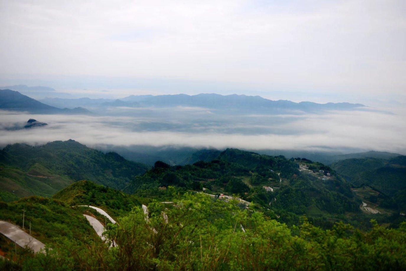 救援波塞冬