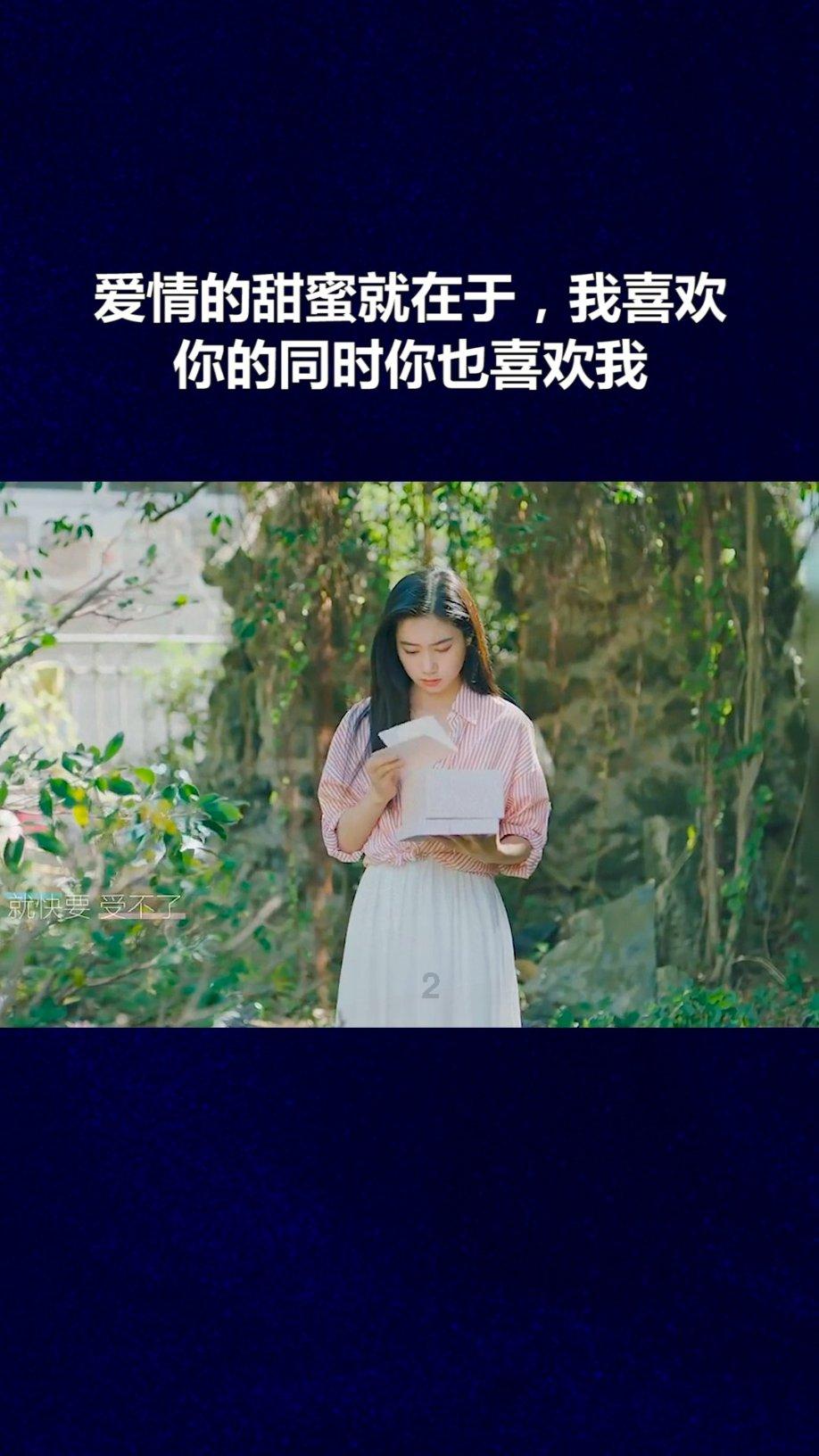 探探猫宝石岛